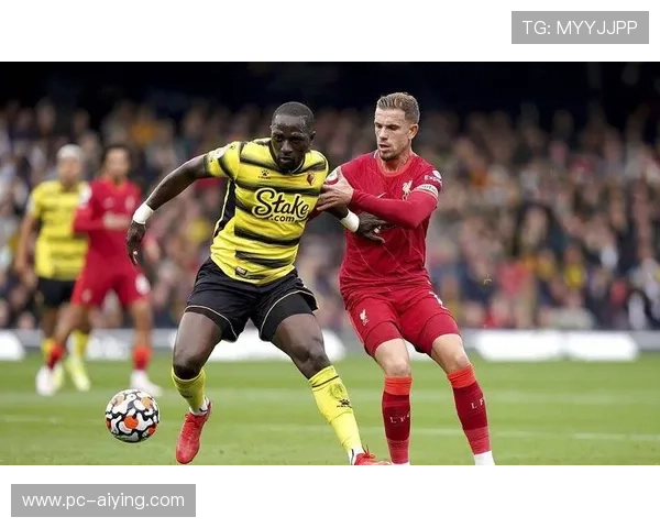 新2体育的市场竞争力及未来趋势研究