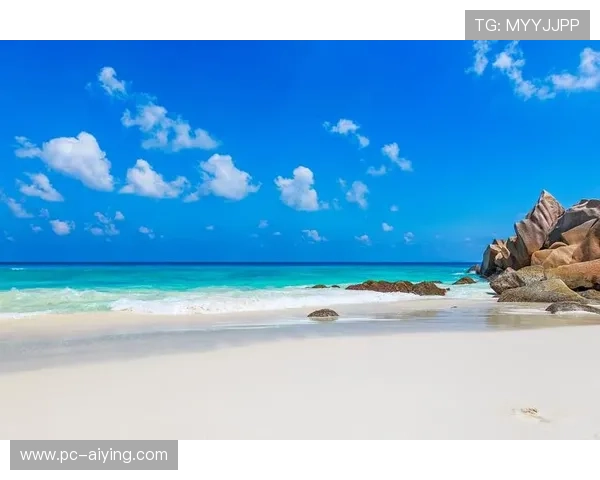 海星手机官网打造的智能设备如何提升用户生活体验