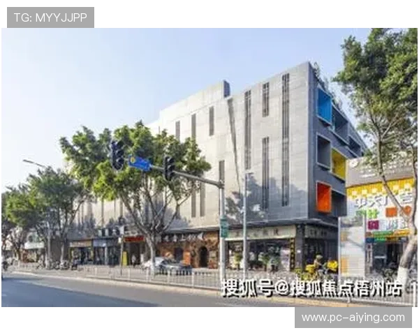 乐鱼电子有限公司官网企业文化与发展战略深度解读