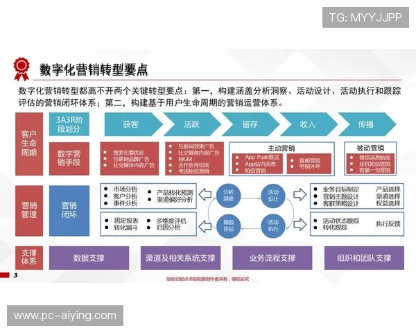 提升真人视讯数字站用户粘性的方法与策略，助力平台实现持续盈利与用户满意度提升