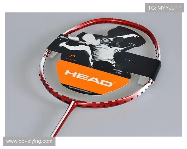 海德体育网站app优惠活动与会员权益介绍，享受更多专属体育福利