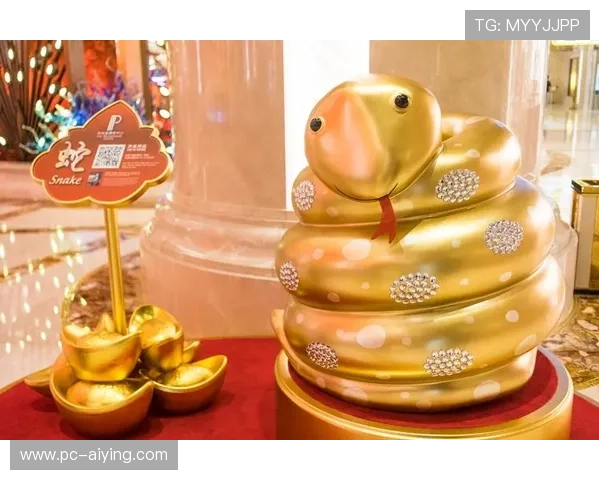 全面解析澳门百家家乐的基本玩法与高级策略帮助玩家赢得更多胜利