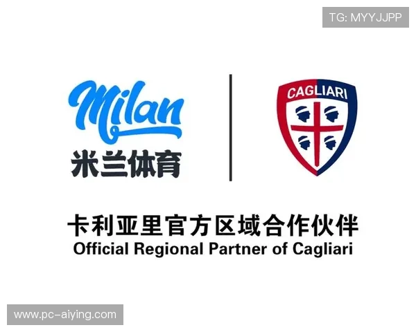 米兰体育登陆安全保障措施及隐私保护策略全面介绍确保用户账号安全无忧