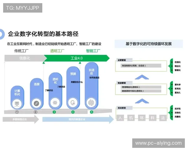 蓝鲸体育未来发展趋势：探讨蓝鲸体育在体育行业数字化转型中的关键角色与潜力