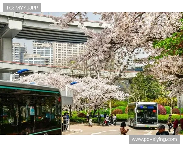 结合实际案例分析叶汉三株路打法的应用技巧与战术布局