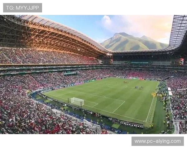 世界杯南非韩国比赛是否属实，赛事背景与历史战绩一览