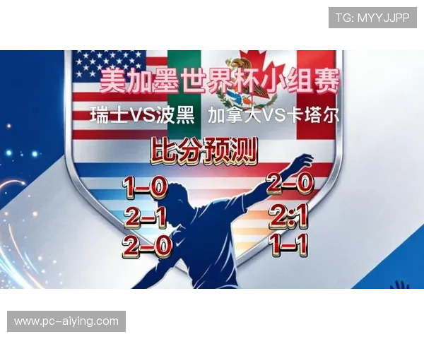 世界杯瑞士对阵波黑的完整阵容分析与比赛亮点解读 世界杯瑞士对阵波黑的完整阵容分析与比赛亮点解读